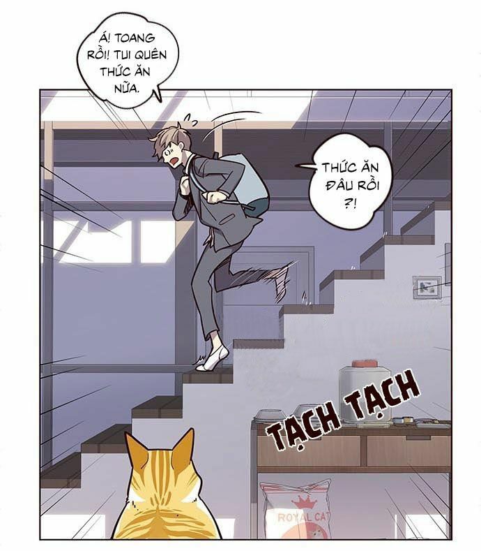 Hoá Thân Thành Mèo: Chapter 9