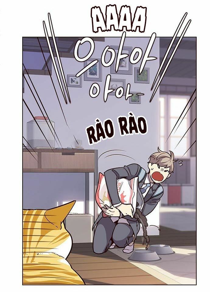 Hoá Thân Thành Mèo: Chapter 9