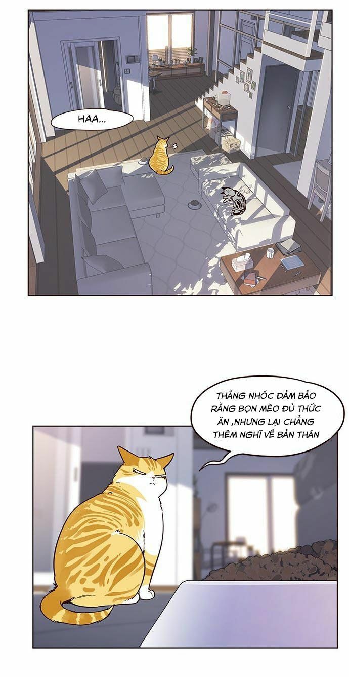 Hoá Thân Thành Mèo: Chapter 9