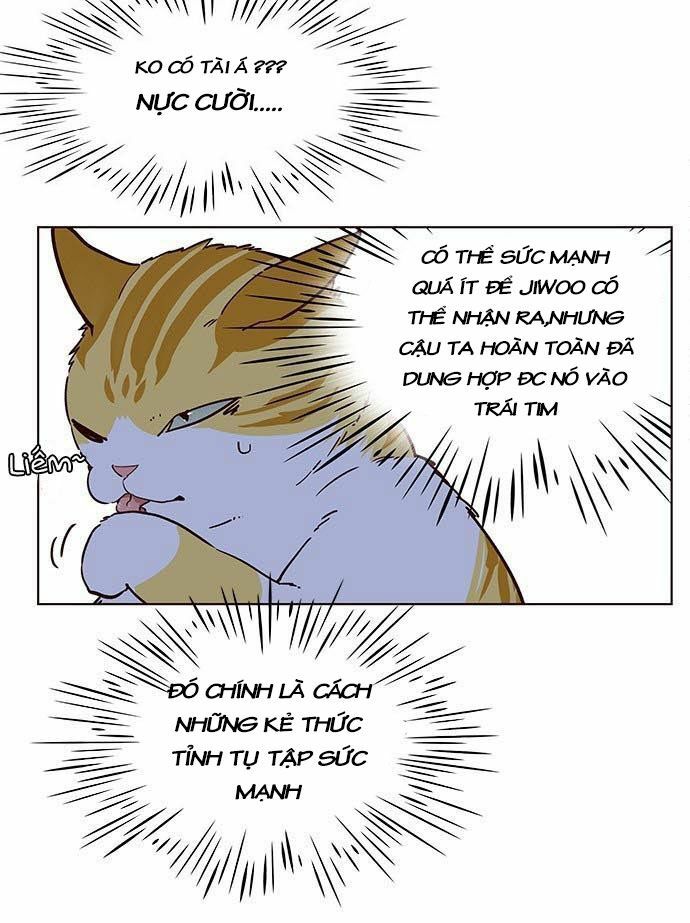 Hoá Thân Thành Mèo: Chapter 9