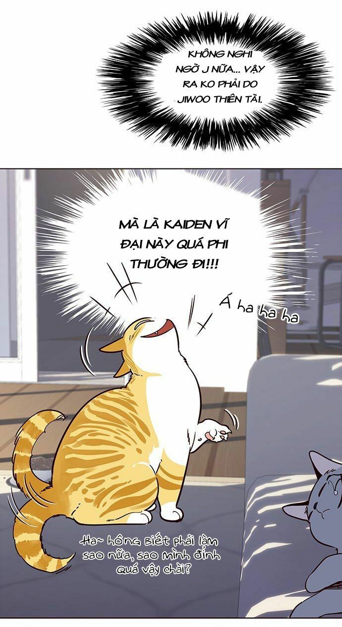 Hoá Thân Thành Mèo: Chapter 9