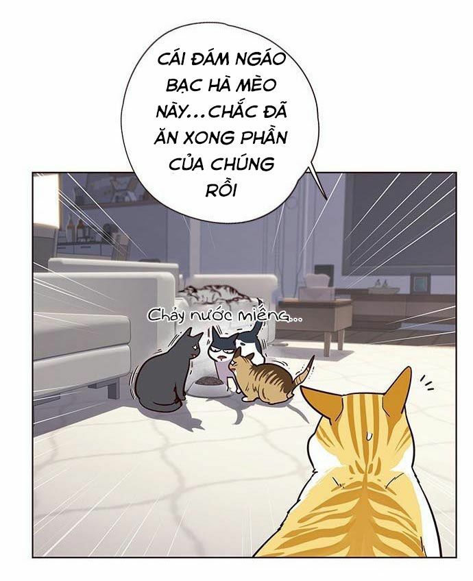 Hoá Thân Thành Mèo: Chapter 9