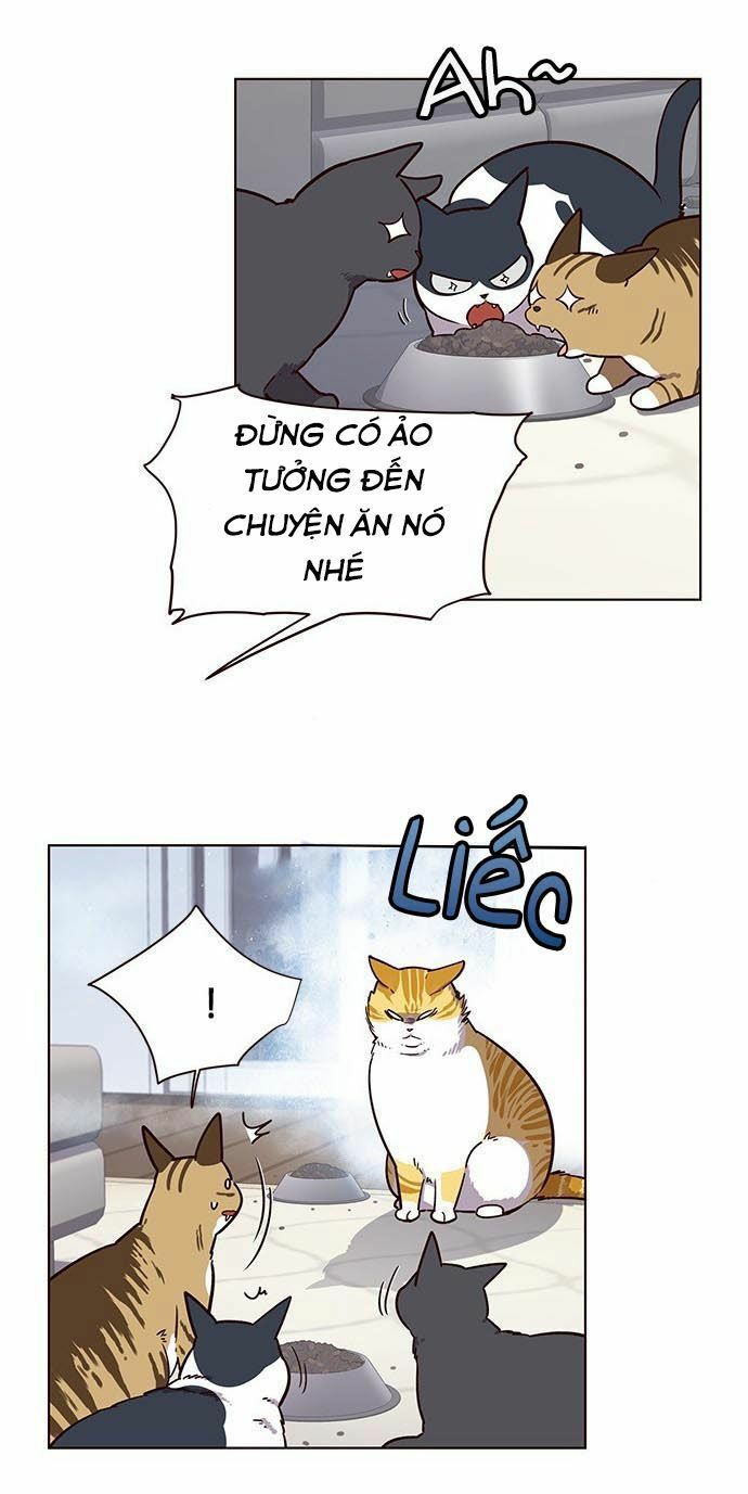 Hoá Thân Thành Mèo: Chapter 9