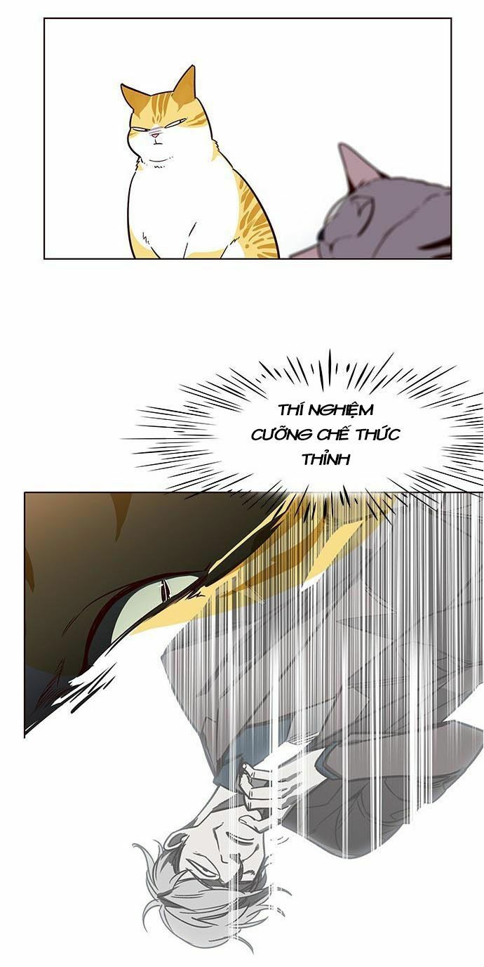 Hoá Thân Thành Mèo: Chapter 9