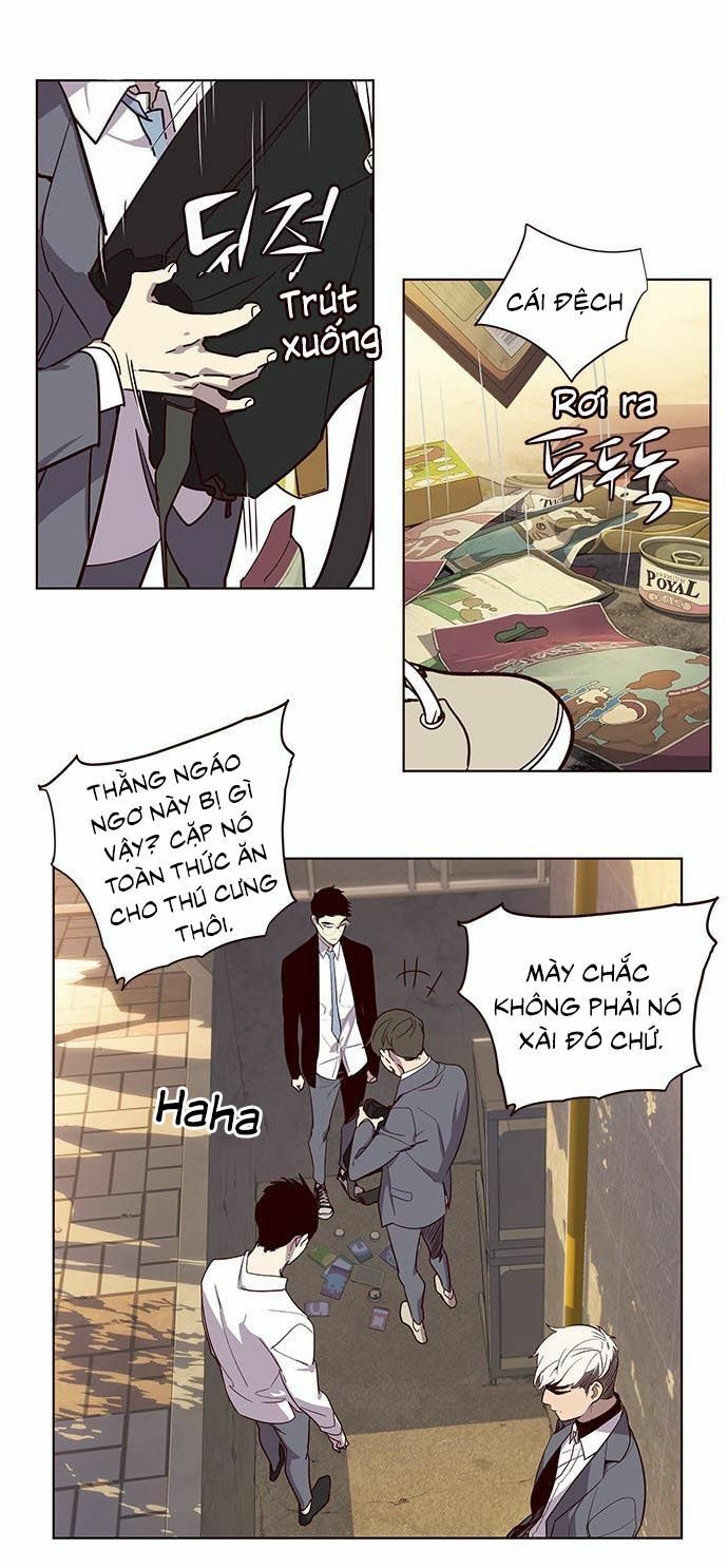 Hoá Thân Thành Mèo: Chapter 9