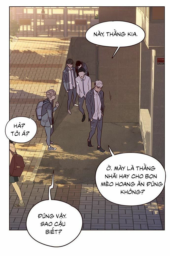 Hoá Thân Thành Mèo: Chapter 9