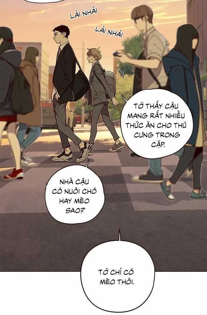 Hoá Thân Thành Mèo: Chapter 9