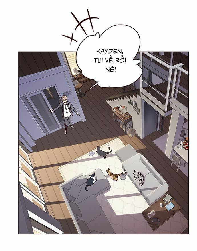 Hoá Thân Thành Mèo: Chapter 9