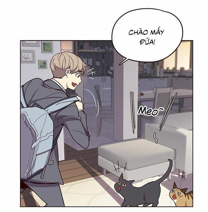 Hoá Thân Thành Mèo: Chapter 9