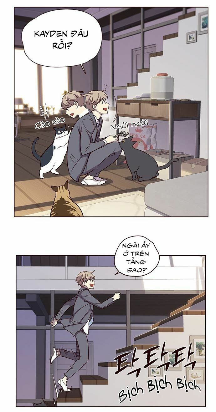 Hoá Thân Thành Mèo: Chapter 9