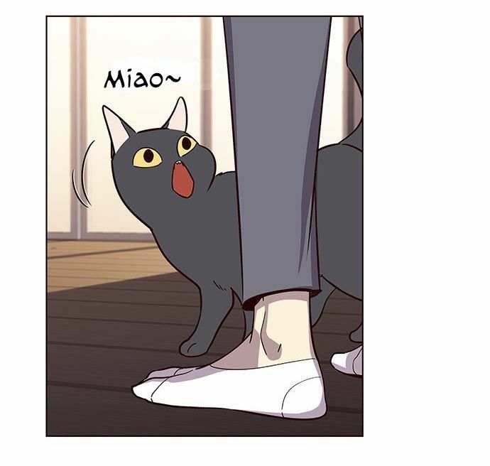 Hoá Thân Thành Mèo: Chapter 9