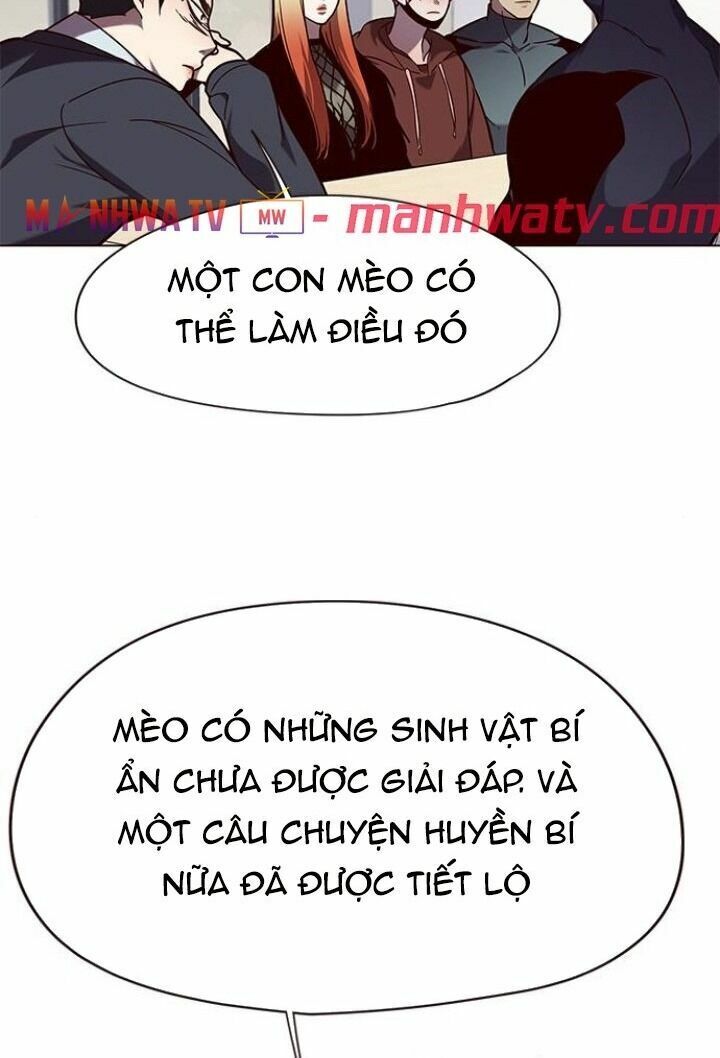 Hoá Thân Thành Mèo: Chapter 90