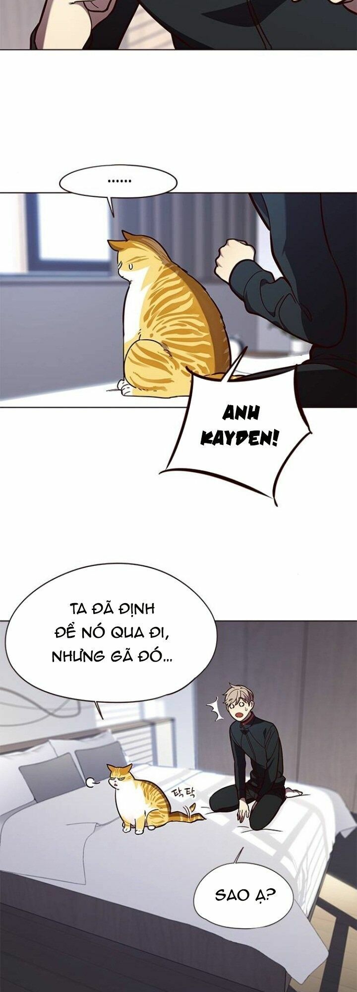 Hoá Thân Thành Mèo: Chapter 90