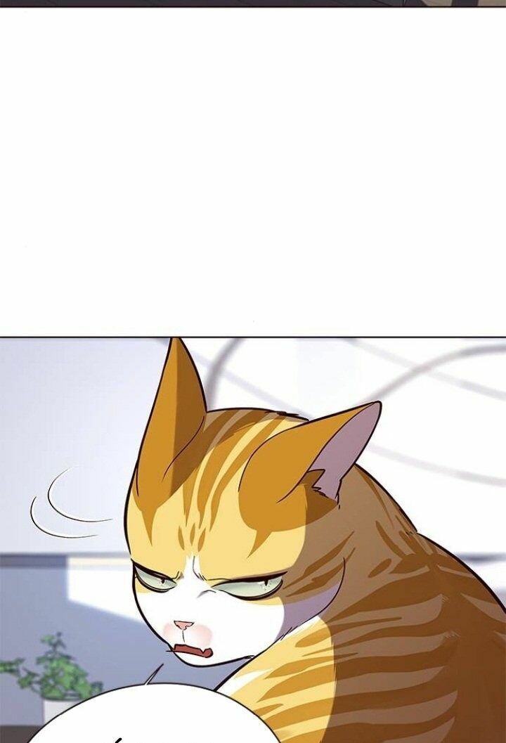 Hoá Thân Thành Mèo: Chapter 90