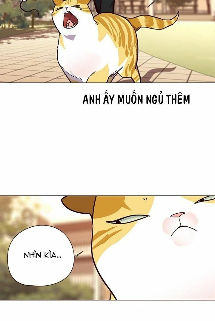 Hoá Thân Thành Mèo: Chapter 90