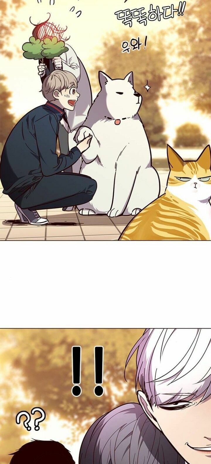 Hoá Thân Thành Mèo: Chapter 90