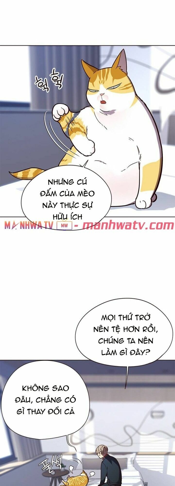Hoá Thân Thành Mèo: Chapter 90
