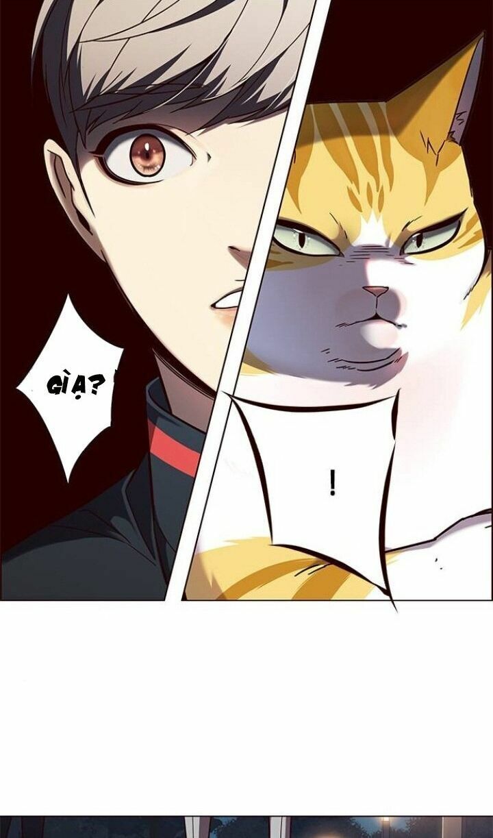 Hoá Thân Thành Mèo: Chapter 91