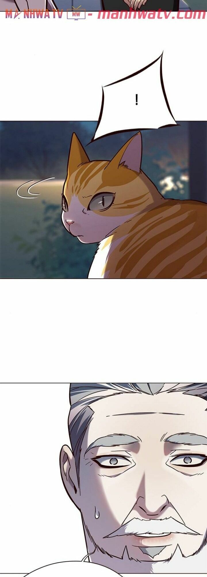 Hoá Thân Thành Mèo: Chapter 91