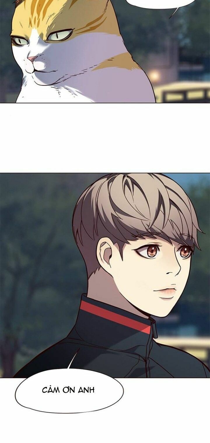 Hoá Thân Thành Mèo: Chapter 91