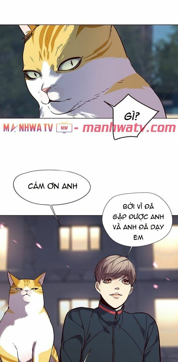 Hoá Thân Thành Mèo: Chapter 91