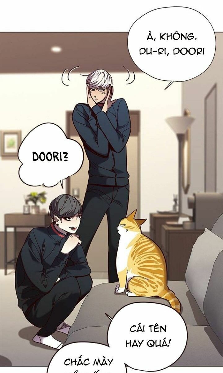 Hoá Thân Thành Mèo: Chapter 91