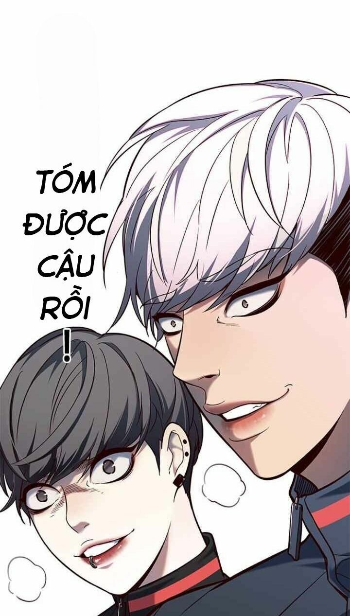 Hoá Thân Thành Mèo: Chapter 92
