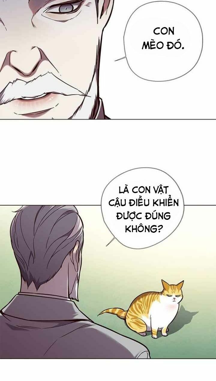 Hoá Thân Thành Mèo: Chapter 92