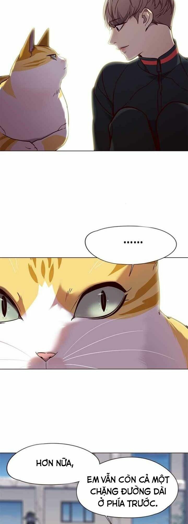 Hoá Thân Thành Mèo: Chapter 92