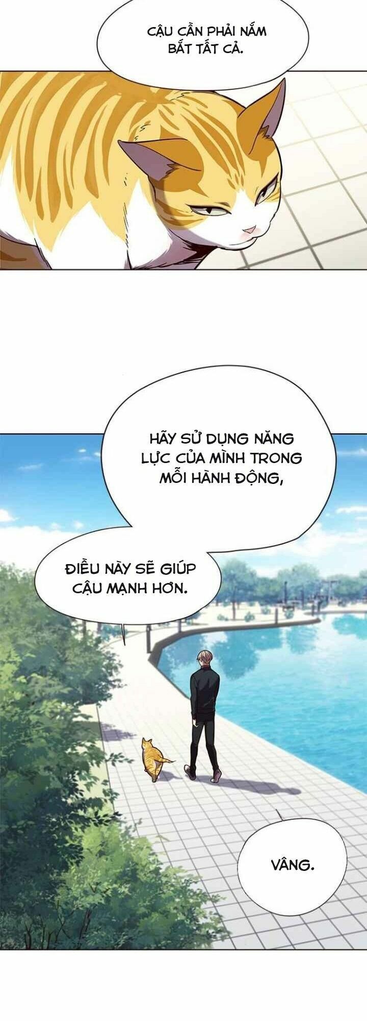 Hoá Thân Thành Mèo: Chapter 92