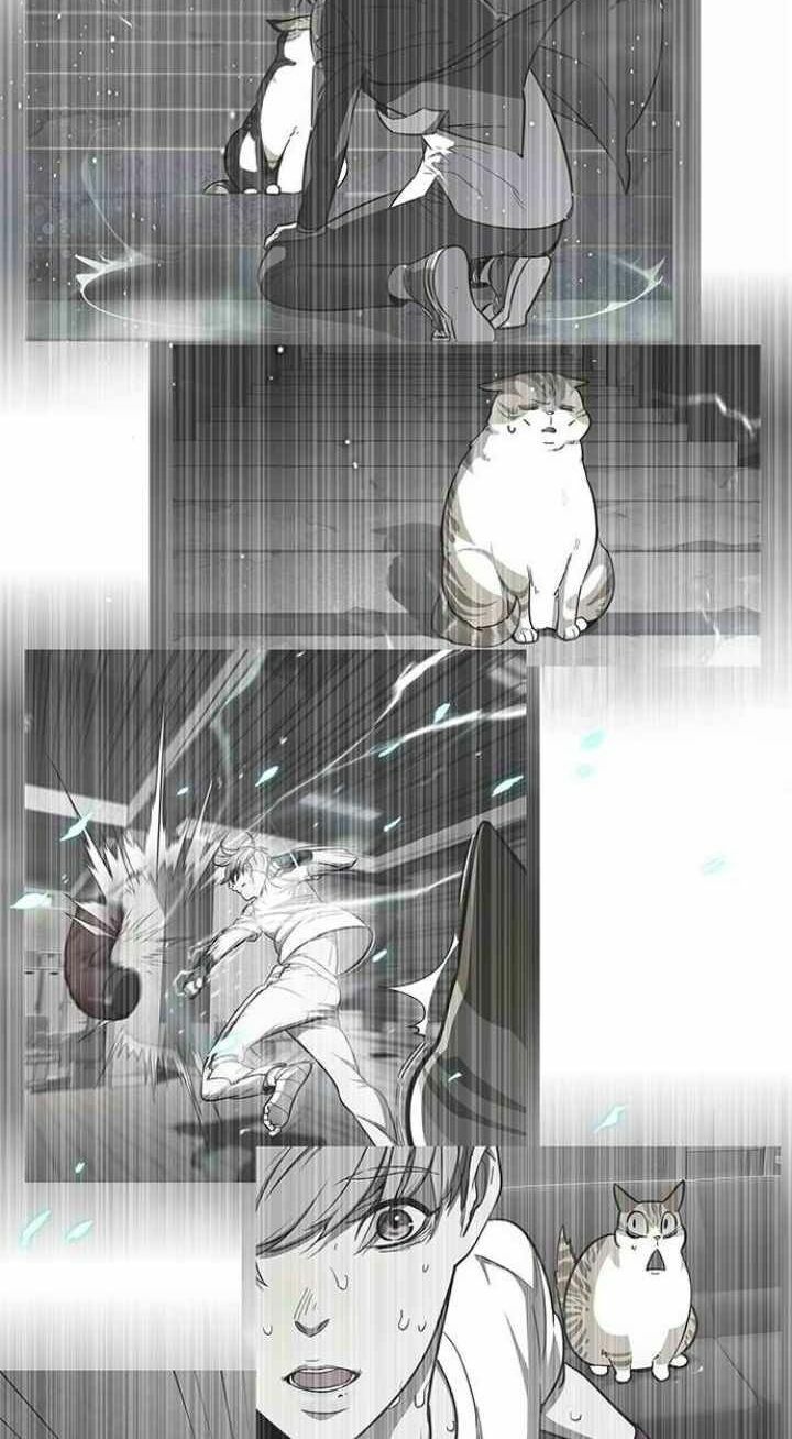 Hoá Thân Thành Mèo: Chapter 93