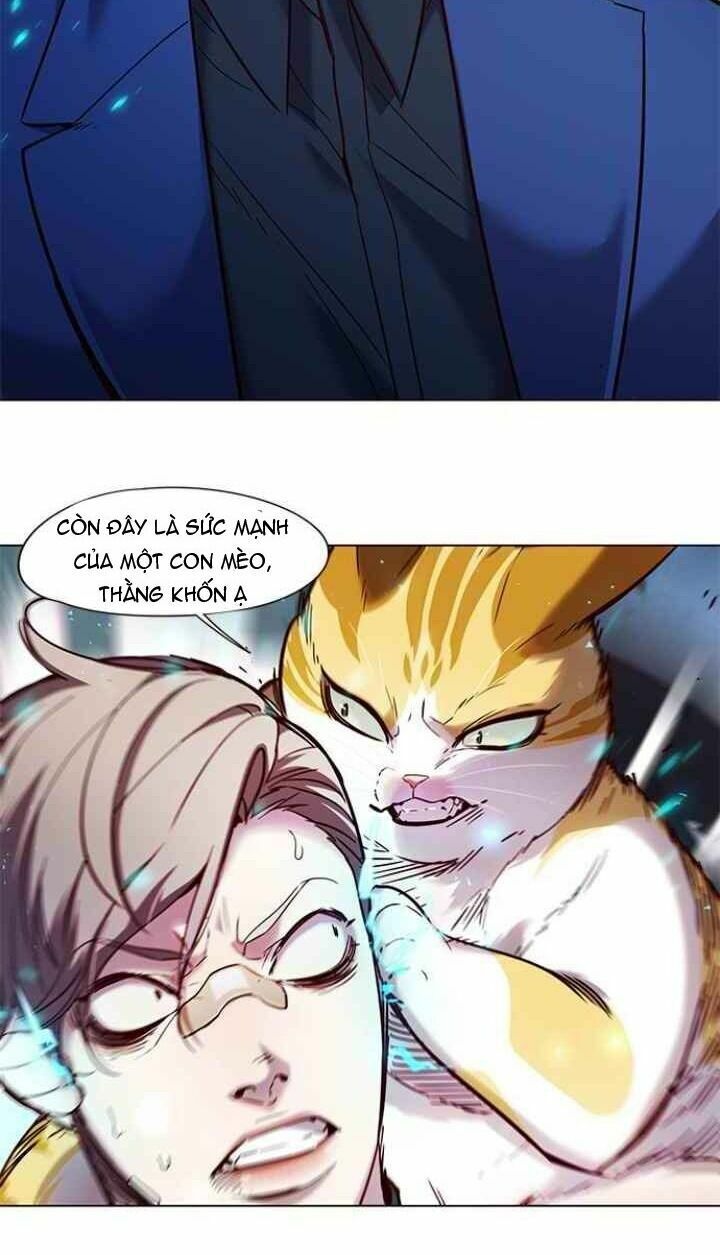 Hoá Thân Thành Mèo: Chapter 93