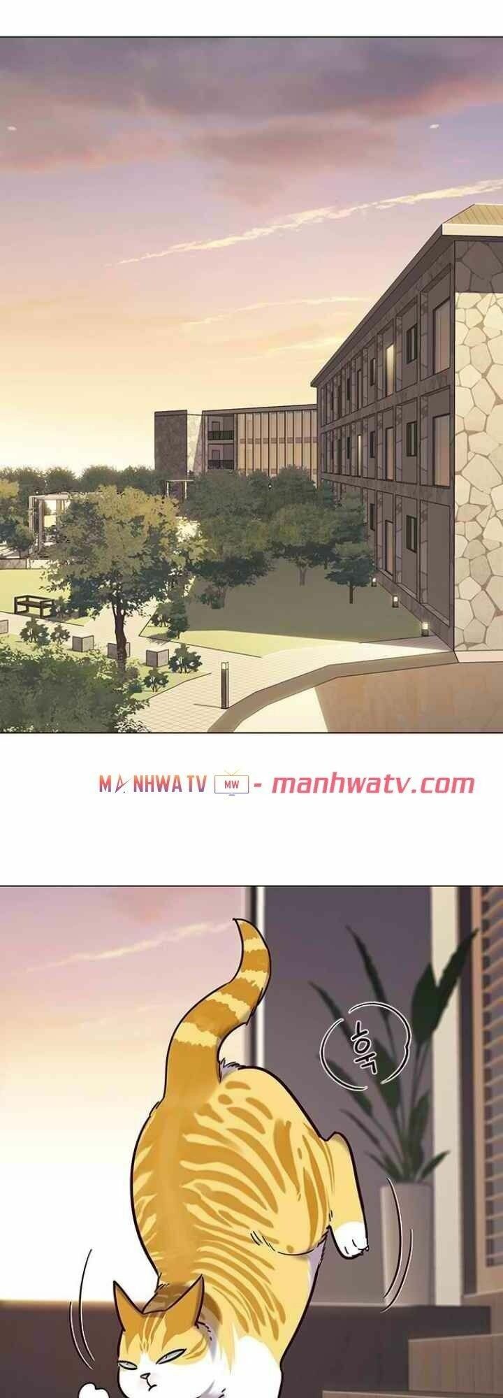 Hoá Thân Thành Mèo: Chapter 94