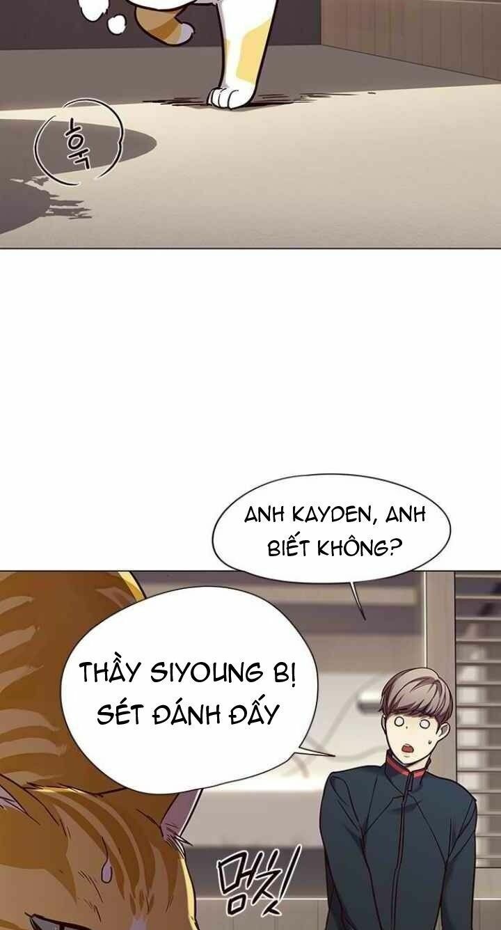 Hoá Thân Thành Mèo: Chapter 94