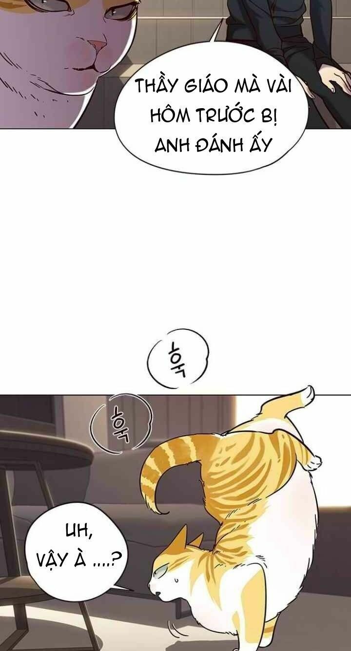 Hoá Thân Thành Mèo: Chapter 94