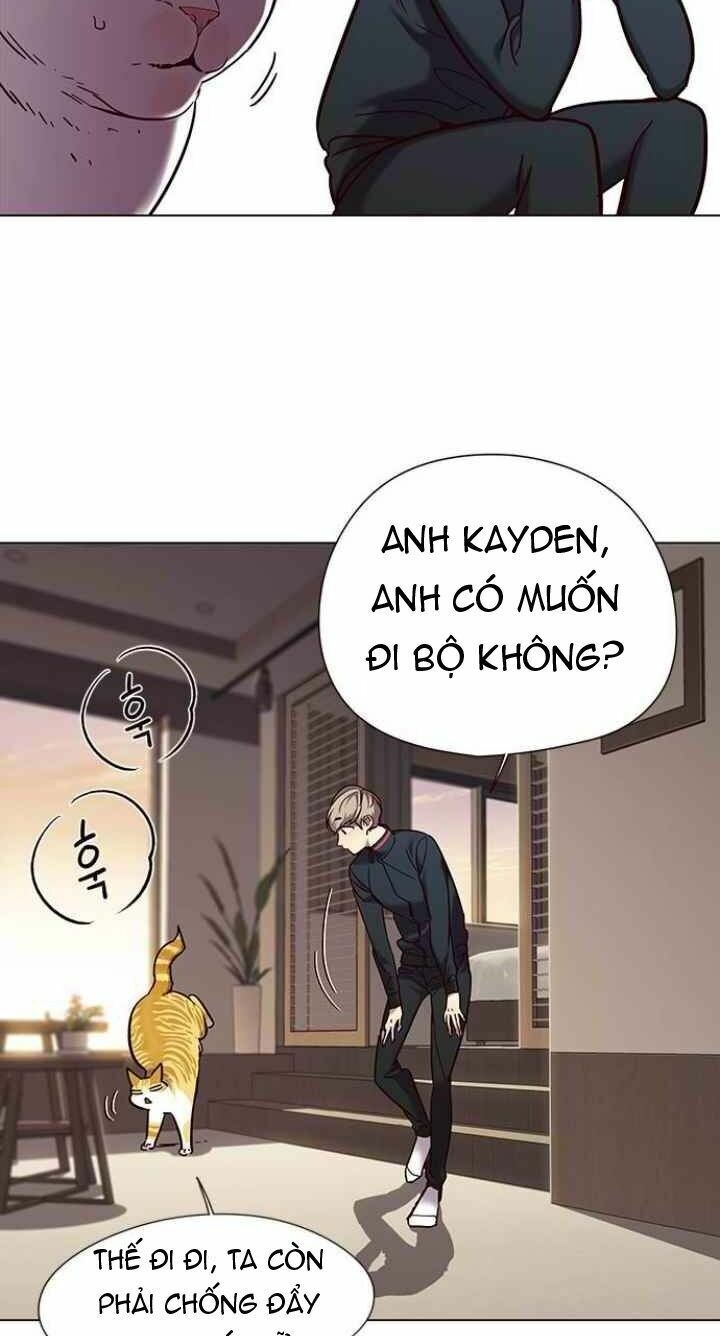 Hoá Thân Thành Mèo: Chapter 94