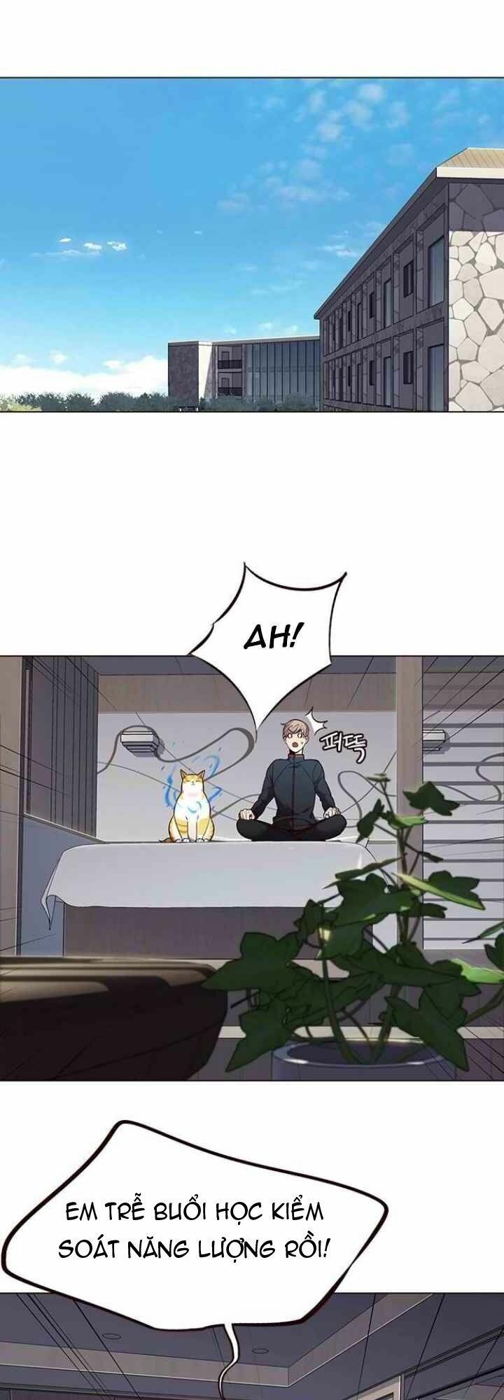 Hoá Thân Thành Mèo: Chapter 95