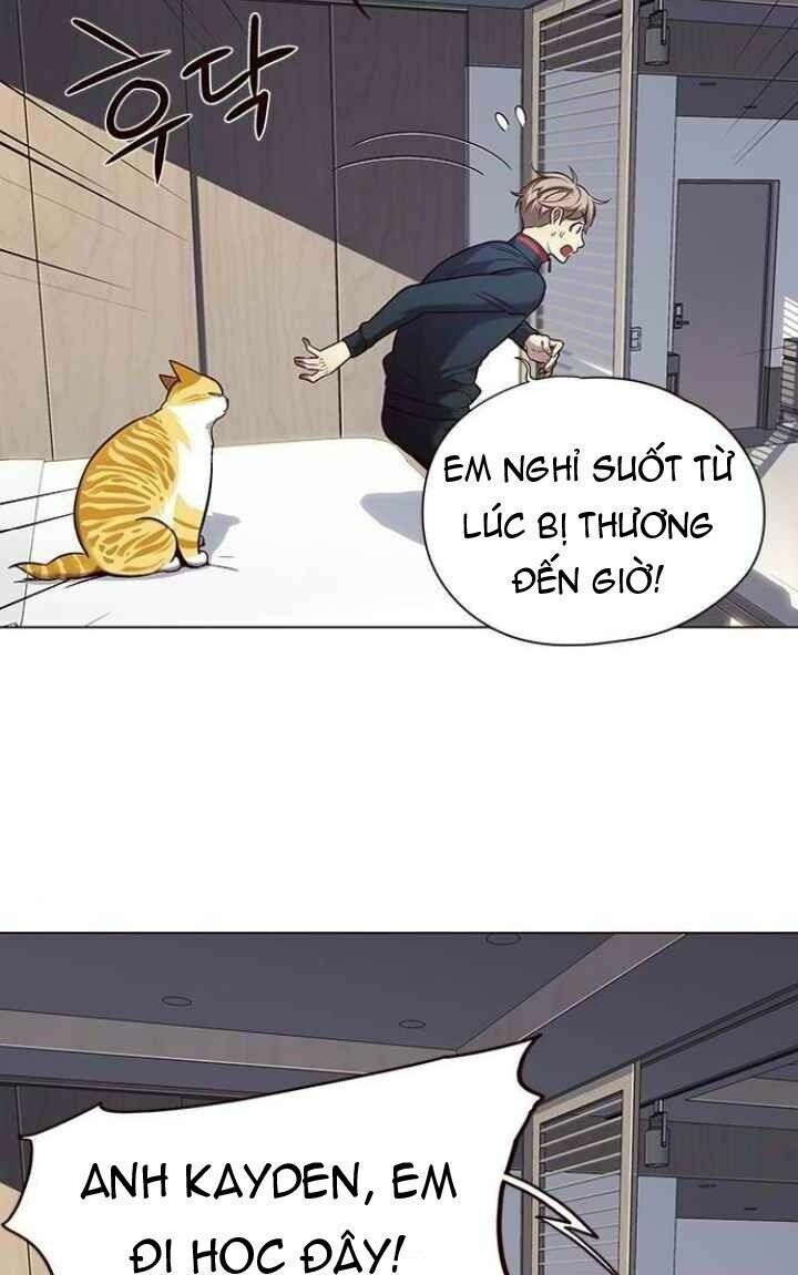 Hoá Thân Thành Mèo: Chapter 95