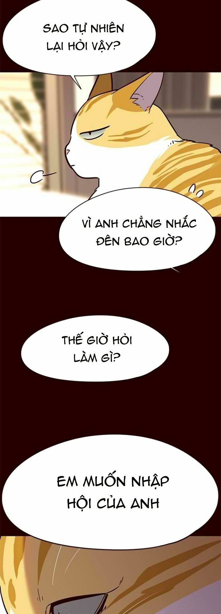 Hoá Thân Thành Mèo: Chapter 96
