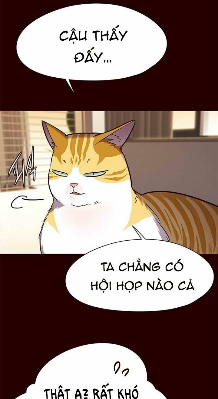 Hoá Thân Thành Mèo: Chapter 96