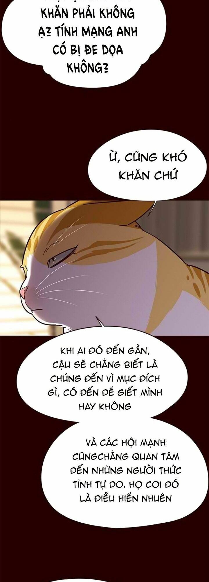 Hoá Thân Thành Mèo: Chapter 96
