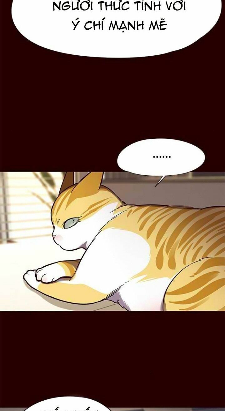 Hoá Thân Thành Mèo: Chapter 96