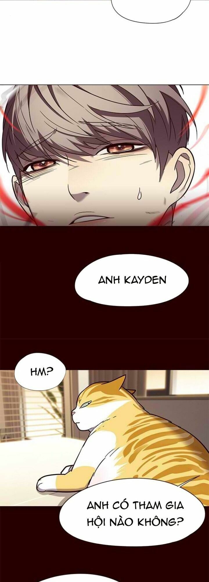Hoá Thân Thành Mèo: Chapter 96