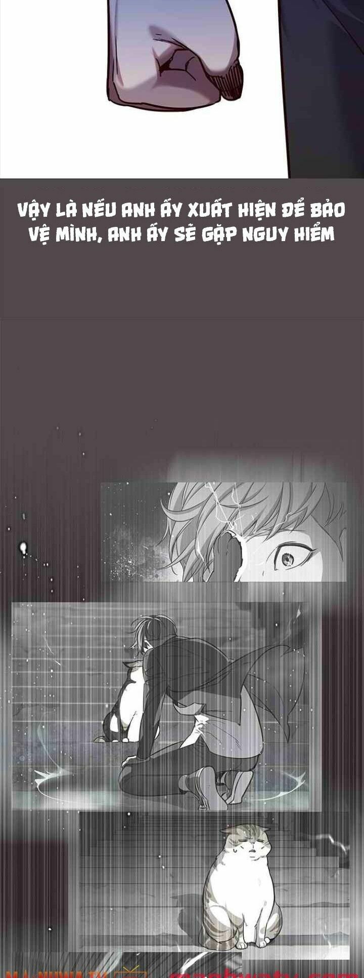 Hoá Thân Thành Mèo: Chapter 99