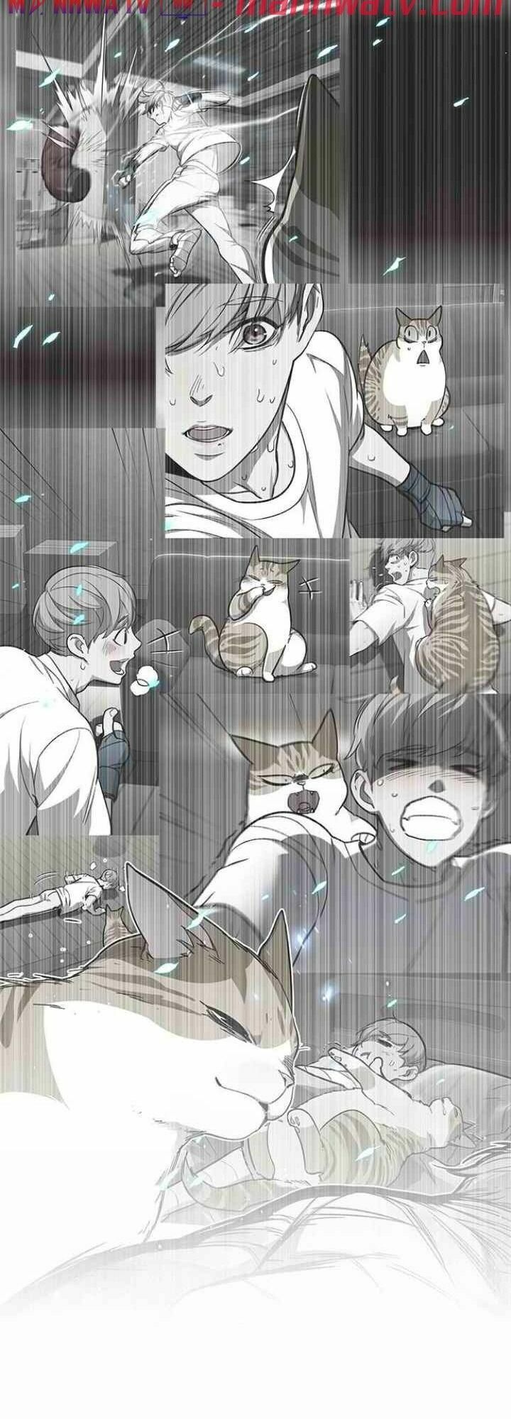 Hoá Thân Thành Mèo: Chapter 99
