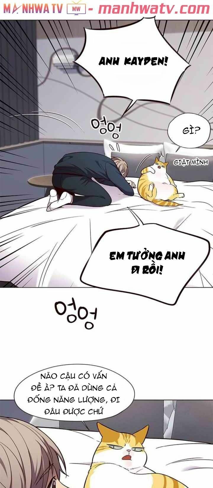 Hoá Thân Thành Mèo: Chapter 99