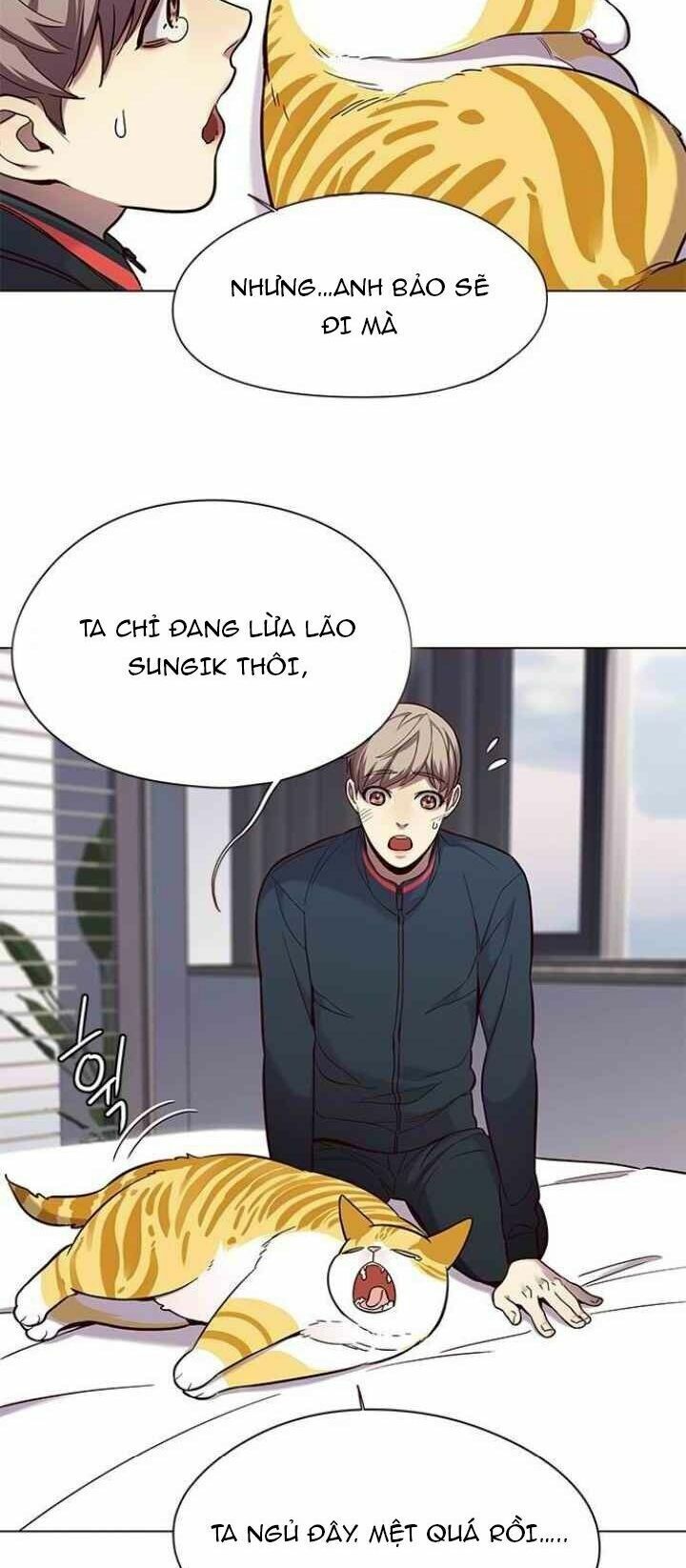 Hoá Thân Thành Mèo: Chapter 99