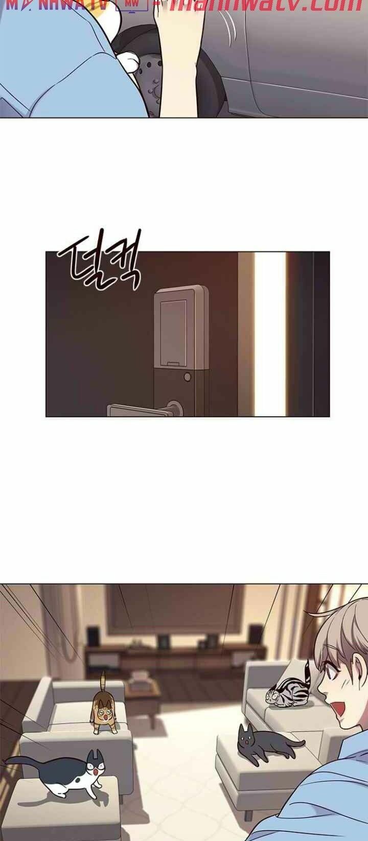 Hoá Thân Thành Mèo: Chapter 99