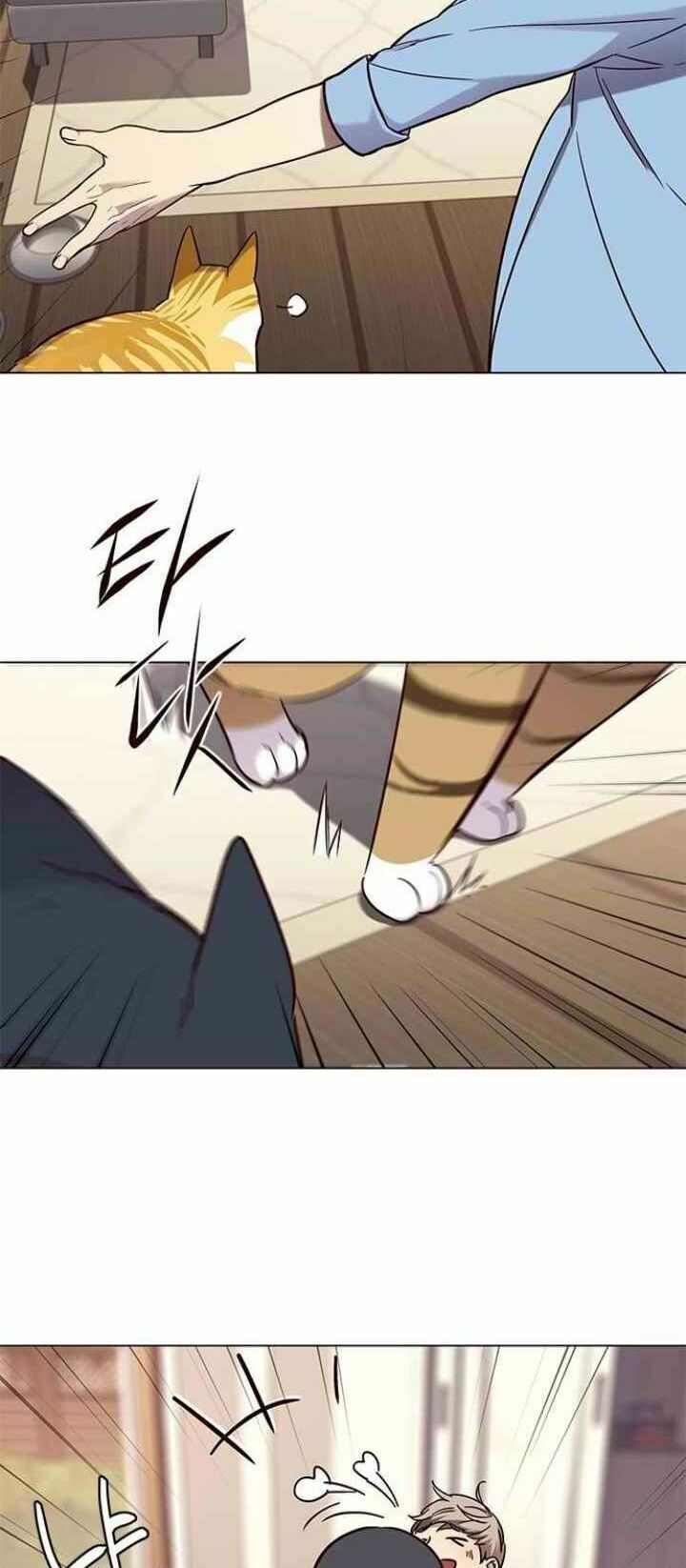 Hoá Thân Thành Mèo: Chapter 99