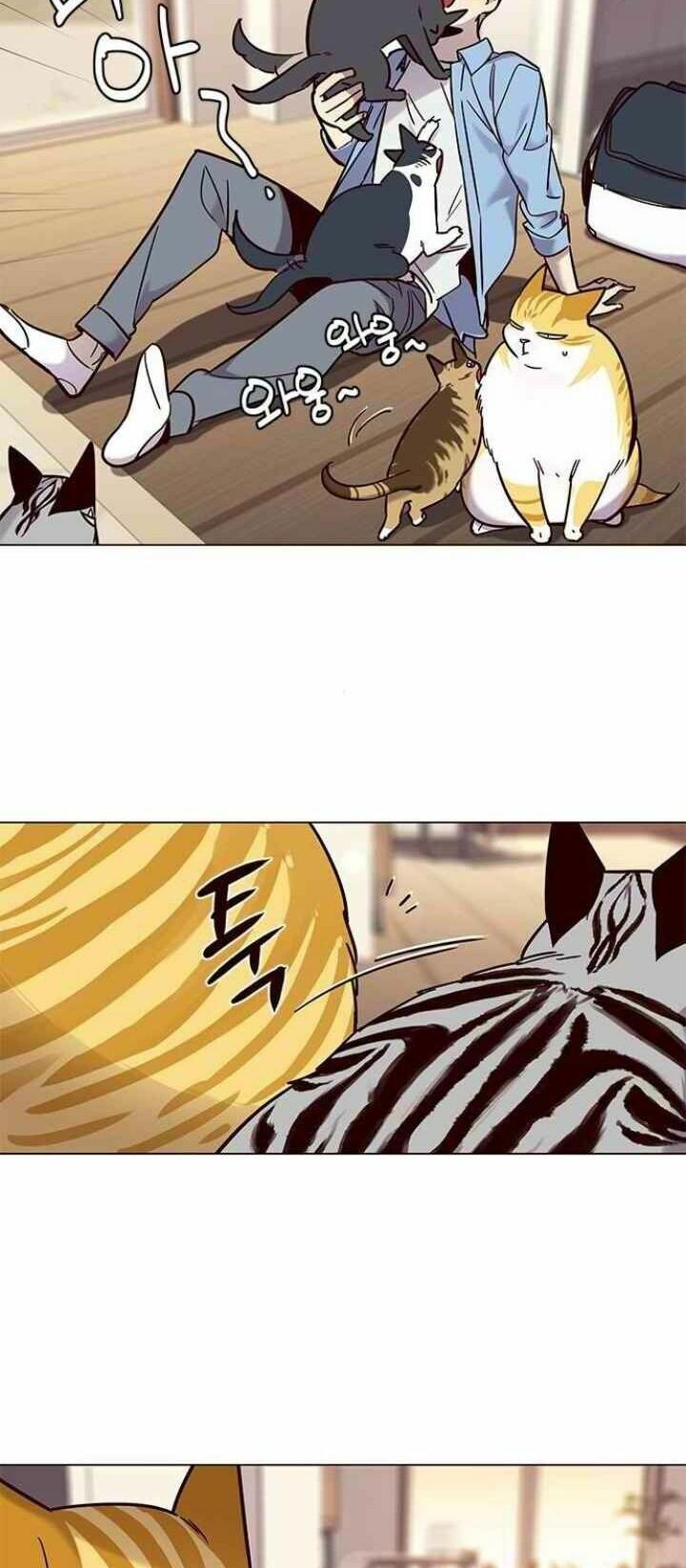 Hoá Thân Thành Mèo: Chapter 99